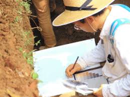 Định mức lao động khi phân tích mẫu đất gồm những thành phần gì?